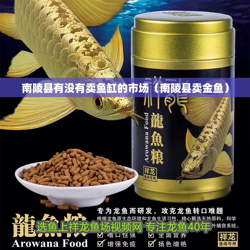 南陵縣有沒有賣魚缸的市場（南陵縣賣金魚）