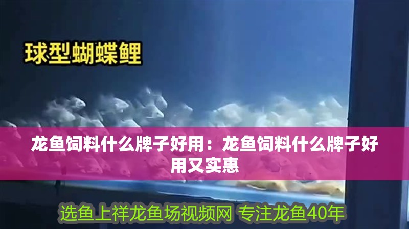 龍魚飼料什么牌子好用：龍魚飼料什么牌子好用又實惠