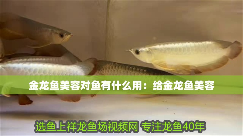 淄博魚缸廠家直銷價格表（淄博魚缸廠家直銷價格表圖片）