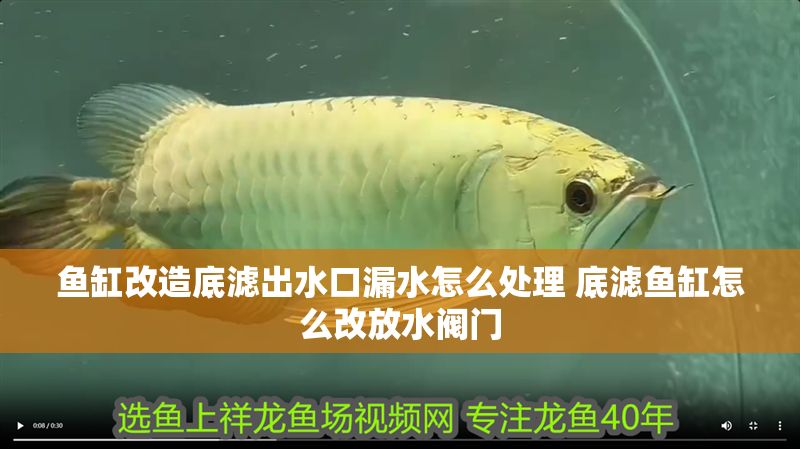 魚缸改造底濾出水口漏水怎么處理 底濾魚缸怎么改放水閥門
