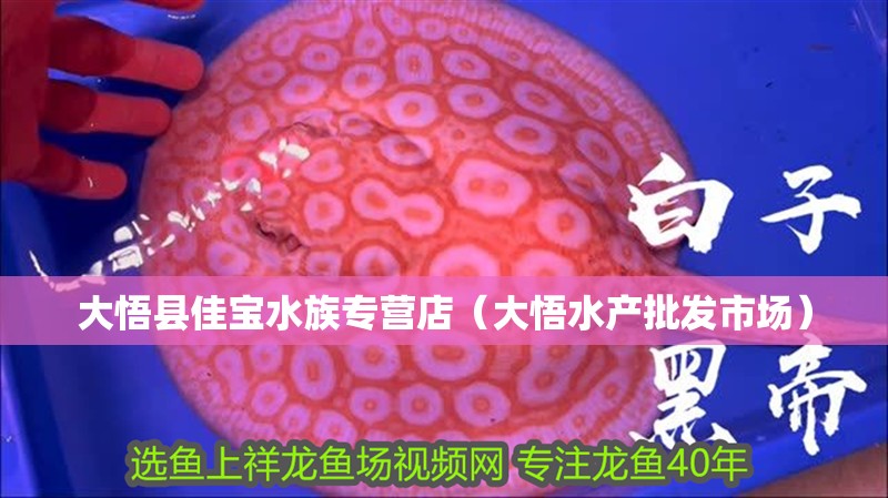 大悟縣佳寶水族專營店（大悟水產批發市場）