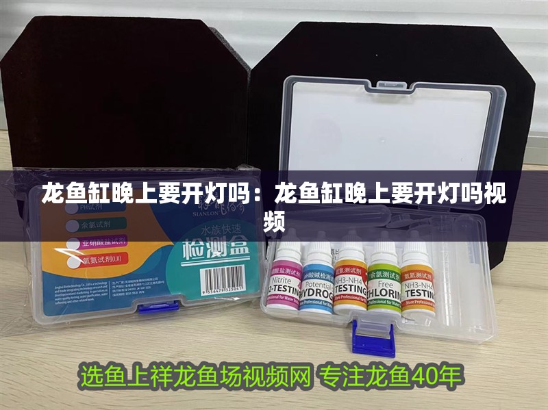 龍魚缸晚上要開燈嗎：龍魚缸晚上要開燈嗎視頻