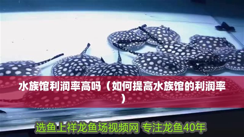 水族館利潤率高嗎（如何提高水族館的利潤率）