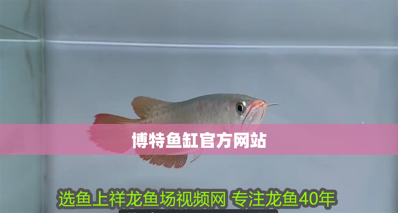 博特魚缸官方網站