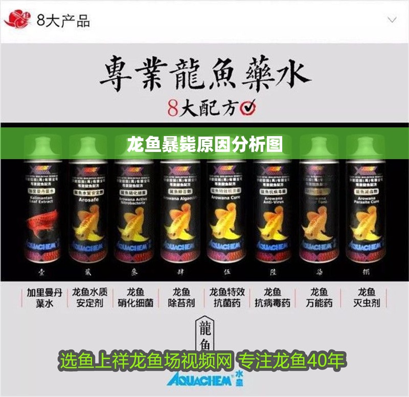 龍魚暴斃原因分析圖