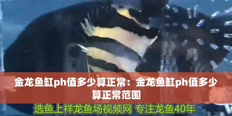 金龍魚缸ph值多少算正常：金龍魚缸ph值多少算正常范圍