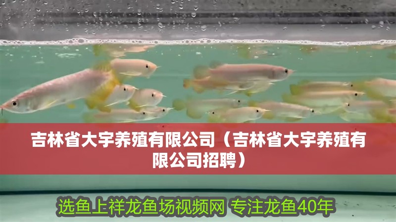 吉林省大宇養(yǎng)殖有限公司（吉林省大宇養(yǎng)殖有限公司招聘）