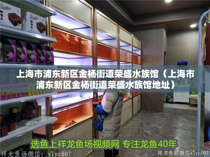 上海市浦東新區(qū)金楊街道榮盛水族館（上海市浦東新區(qū)金楊街道榮盛水族館地址）