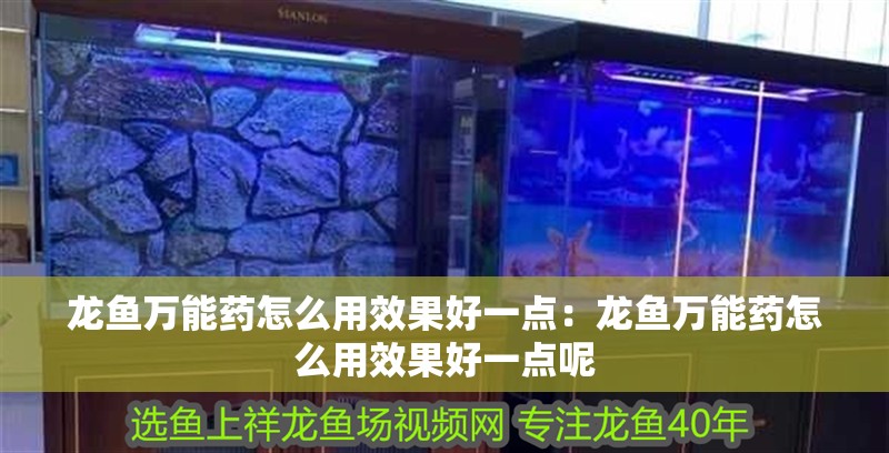 龍魚萬(wàn)能藥怎么用效果好一點(diǎn)：龍魚萬(wàn)能藥怎么用效果好一點(diǎn)呢