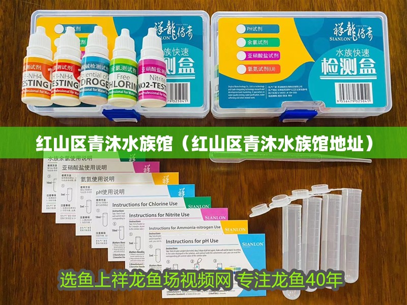 紅山區青沐水族館（紅山區青沐水族館地址）