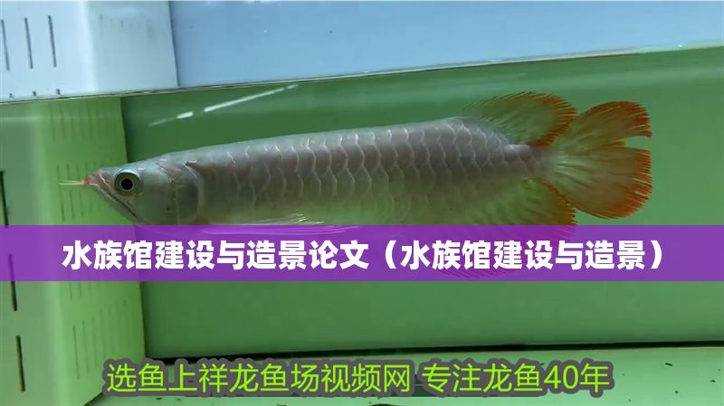 水族館建設(shè)與造景論文（水族館建設(shè)與造景）