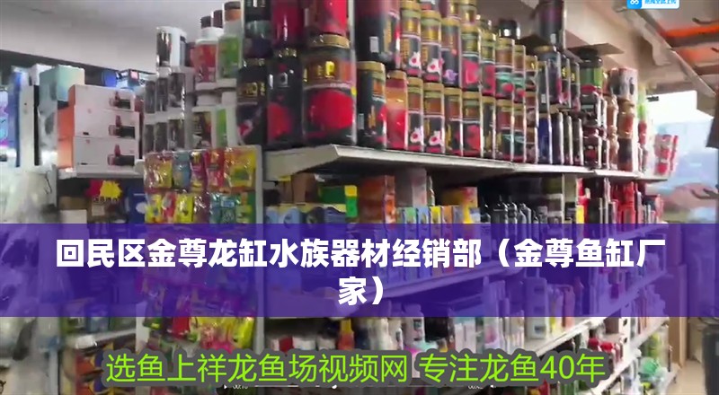 回民區金尊龍缸水族器材經銷部（金尊魚缸廠家）