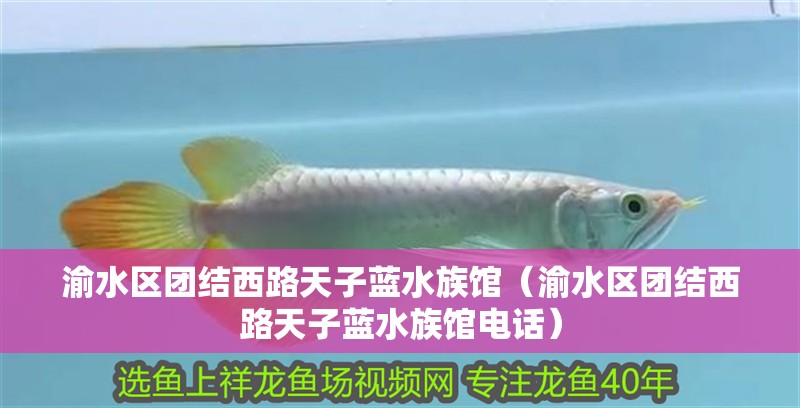 渝水區團結西路天子藍水族館（渝水區團結西路天子藍水族館電話）