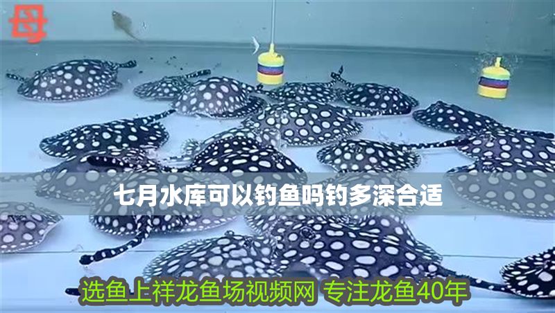 七月水庫可以釣魚嗎釣多深合適