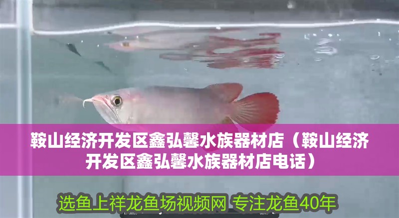 鞍山經濟開發區鑫弘馨水族器材店（鞍山經濟開發區鑫弘馨水族器材店電話）