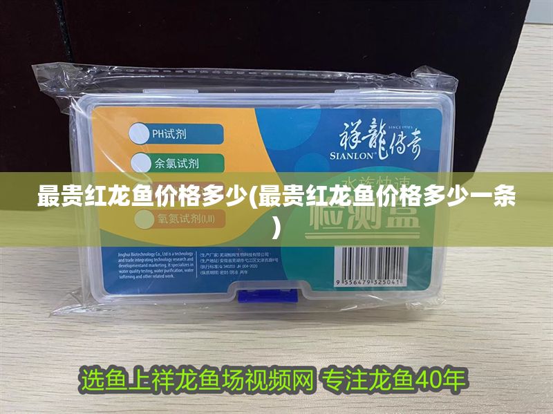 最貴紅龍魚價格多少(最貴紅龍魚價格多少一條)