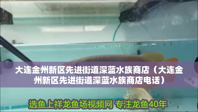 大連金州新區先進街道深藍水族商店（大連金州新區先進街道深藍水族商店電話）