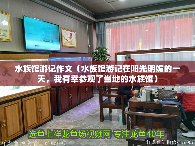 水族館游記作文(水族館游記在陽光明媚的一天,我有幸參觀了當地的水族館) 水族館百科(水族館加盟) 第1張 水族館游記作文(水族館游記在陽光明媚的一天,我有幸參觀了當地的水族館) 水族館游記作文(水族館游記在陽光明媚的一天,我有幸參觀了當地的水族館) 水族館百科(水族館加盟) 第1張