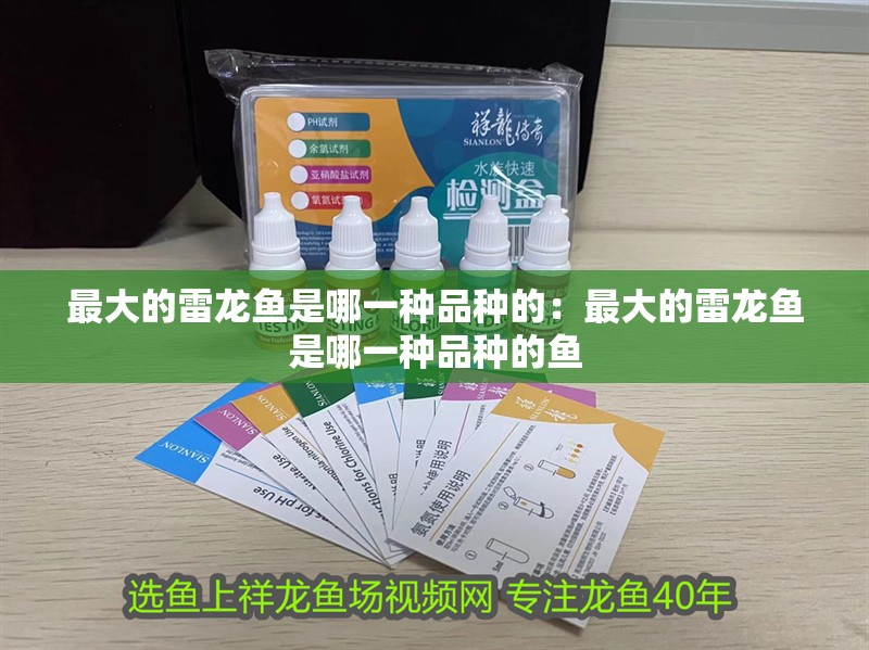 最大的雷龍魚是哪一種品種的：最大的雷龍魚是哪一種品種的魚