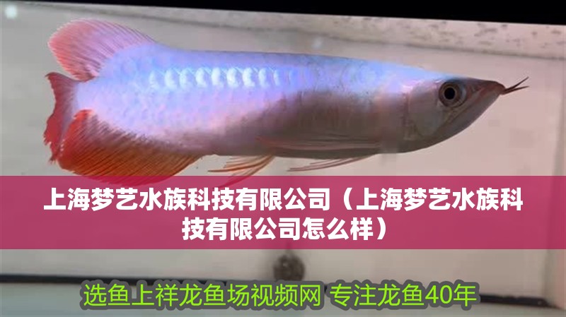 上海夢藝水族科技有限公司(上海夢藝水族科技有限公司怎么樣) 全國水族館企業名錄 第1張 上海夢藝水族科技有限公司(上海夢藝水族科技有限公司怎么樣) 上海夢藝水族科技有限公司(上海夢藝水族科技有限公司怎么樣) 全國水族館企業名錄 第1張