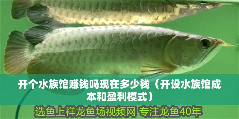 開個水族館賺錢嗎現在多少錢（開設水族館成本和盈利模式）