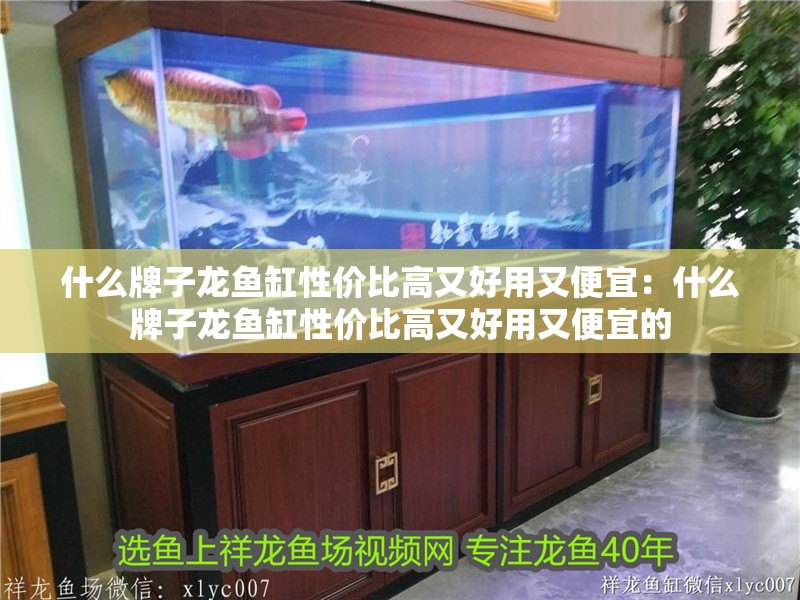 什么牌子龍魚缸性價比高又好用又便宜：什么牌子龍魚缸性價比高又好用又便宜的