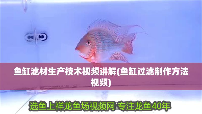 魚缸濾材生產技術視頻講解(魚缸過濾制作方法視頻)