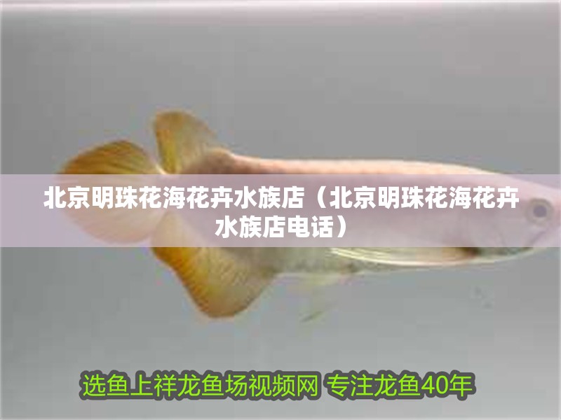 北京明珠花海花卉水族店（北京明珠花海花卉水族店電話）