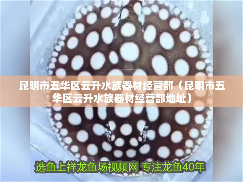 昆明市五華區(qū)云升水族器材經(jīng)營(yíng)部（昆明市五華區(qū)云升水族器材經(jīng)營(yíng)部地址）