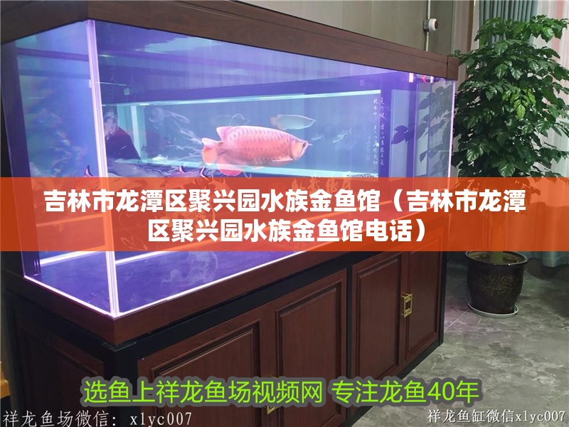 吉林市龍潭區聚興園水族金魚館（吉林市龍潭區聚興園水族金魚館電話）