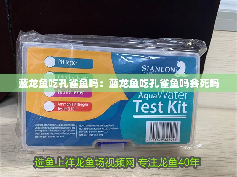 藍龍魚吃孔雀魚嗎：藍龍魚吃孔雀魚嗎會死嗎