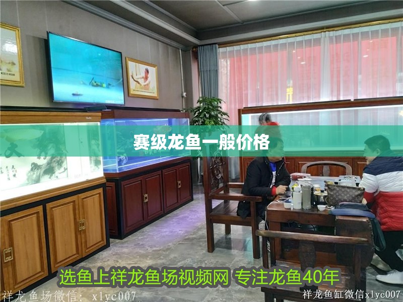 賽級龍魚一般價格