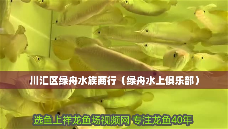 川匯區(qū)綠舟水族商行（綠舟水上俱樂部）