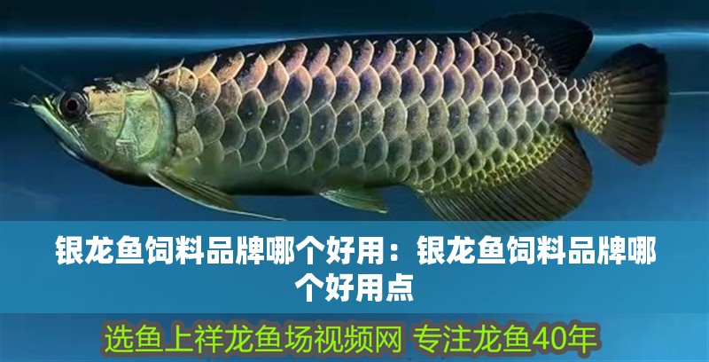 銀龍魚(yú)飼料品牌哪個(gè)好用：銀龍魚(yú)飼料品牌哪個(gè)好用點(diǎn)