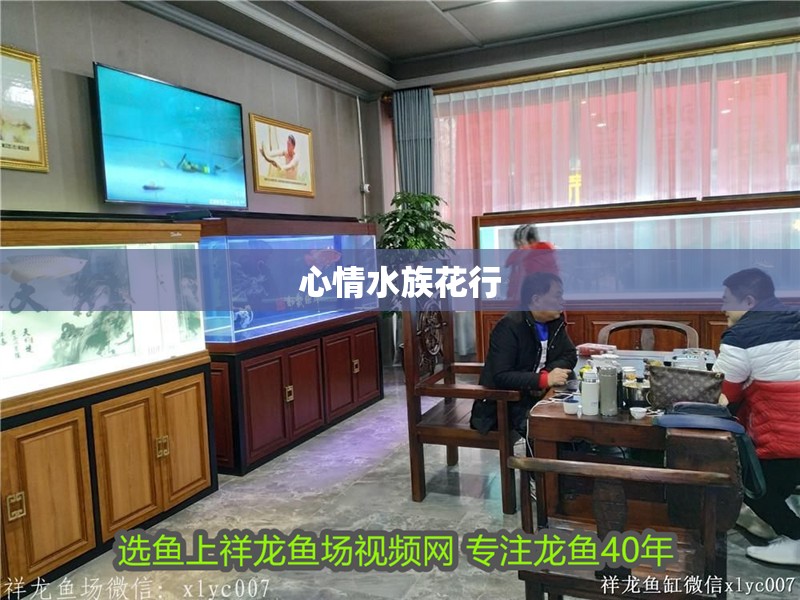 心情水族花行