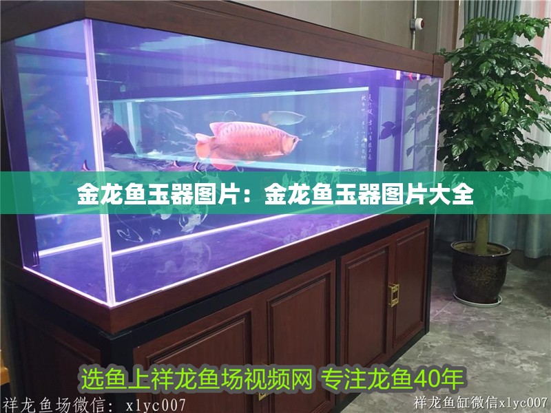 金龍魚玉器圖片：金龍魚玉器圖片大全 金龍魚玉器圖片：金龍魚玉器圖片大全 水族問答
