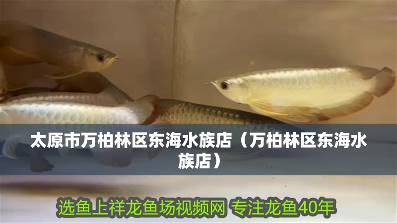 太原市萬(wàn)柏林區(qū)東海水族店（萬(wàn)柏林區(qū)東海水族店）