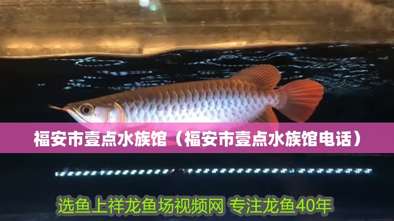 福安市壹點(diǎn)水族館（福安市壹點(diǎn)水族館電話）