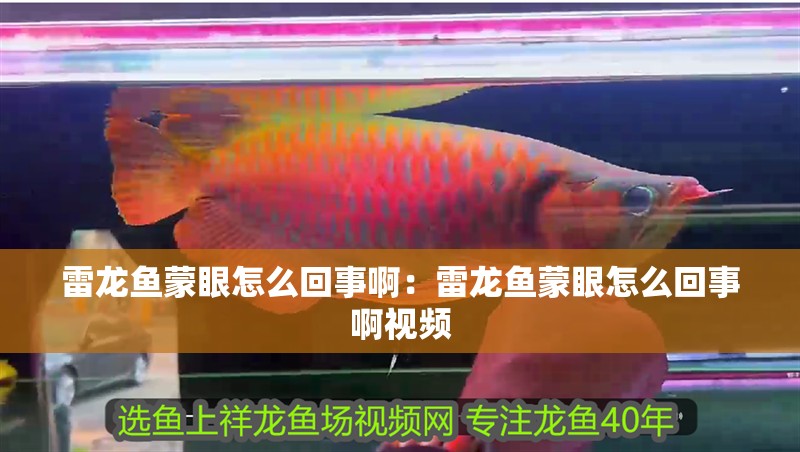 雷龍魚蒙眼怎么回事啊：雷龍魚蒙眼怎么回事啊視頻