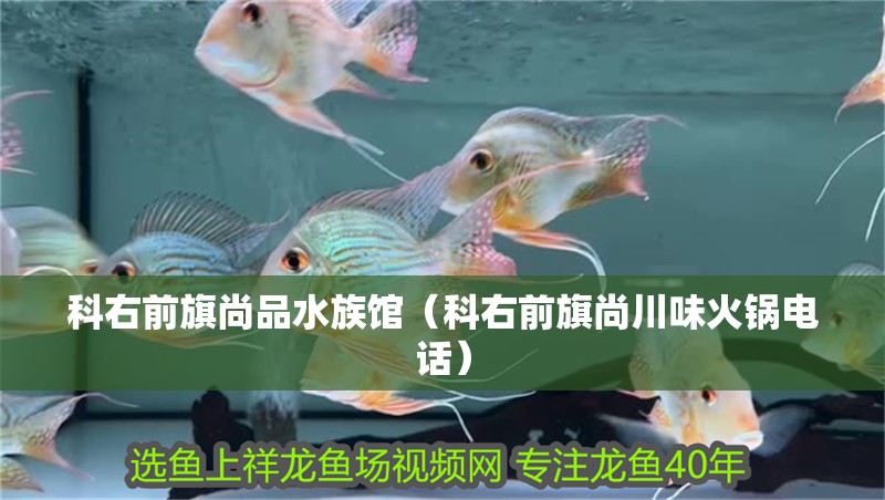 科右前旗尚品水族館（科右前旗尚川味火鍋電話）