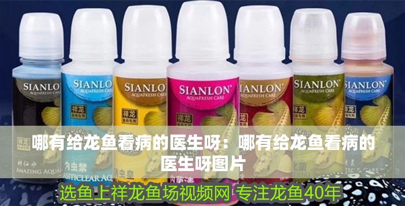 哪有給龍魚看病的醫生呀：哪有給龍魚看病的醫生呀圖片