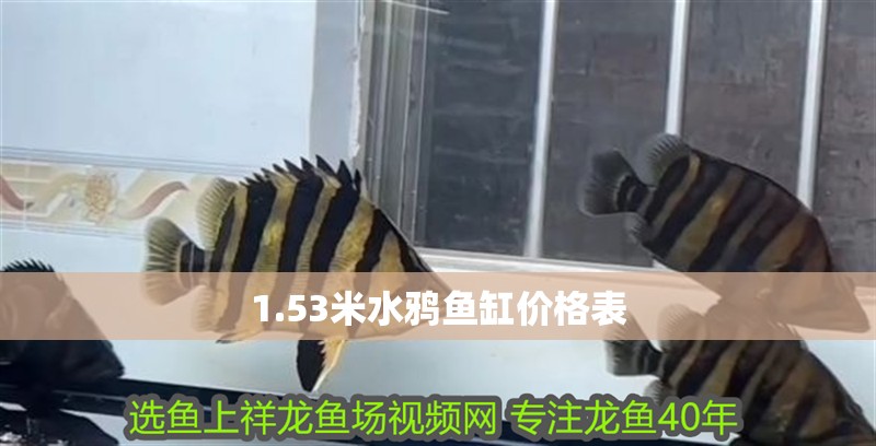 1.53米水鴉魚缸價格表