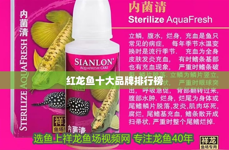 紅龍魚十大品牌排行榜