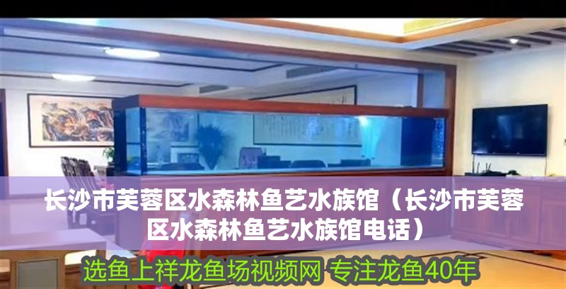 長沙市芙蓉區水森林魚藝水族館（長沙市芙蓉區水森林魚藝水族館電話）