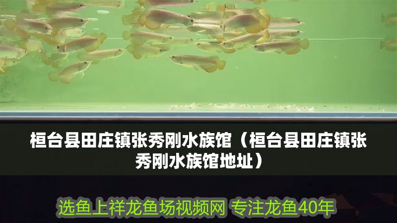 桓臺縣田莊鎮張秀剛水族館（桓臺縣田莊鎮張秀剛水族館地址）