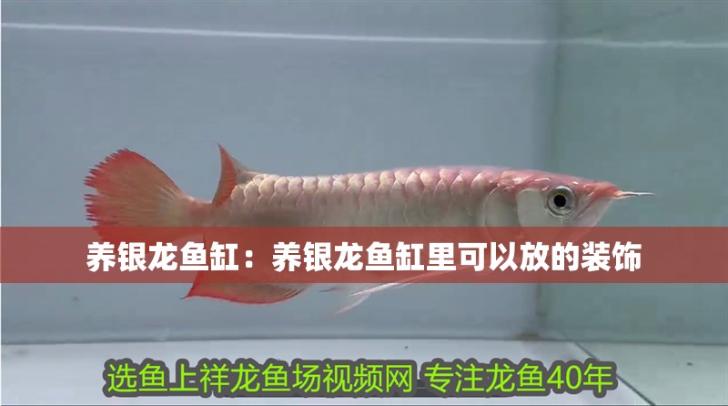 廈門市同安區雙流水族館