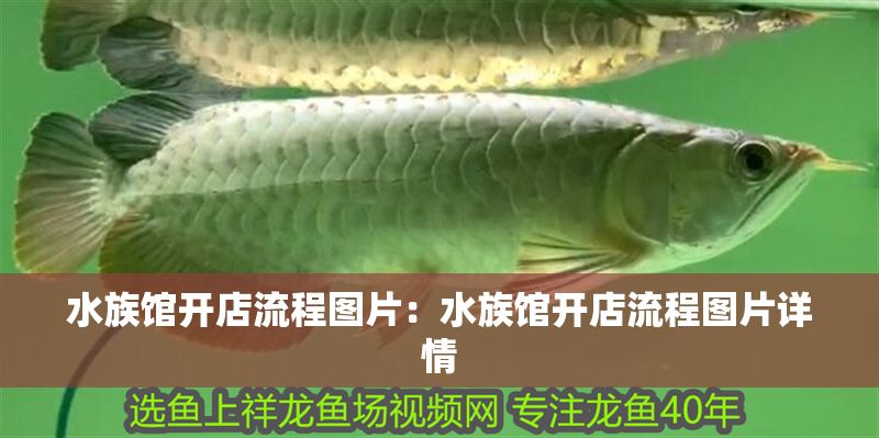 水族館開店流程圖片：水族館開店流程圖片詳情