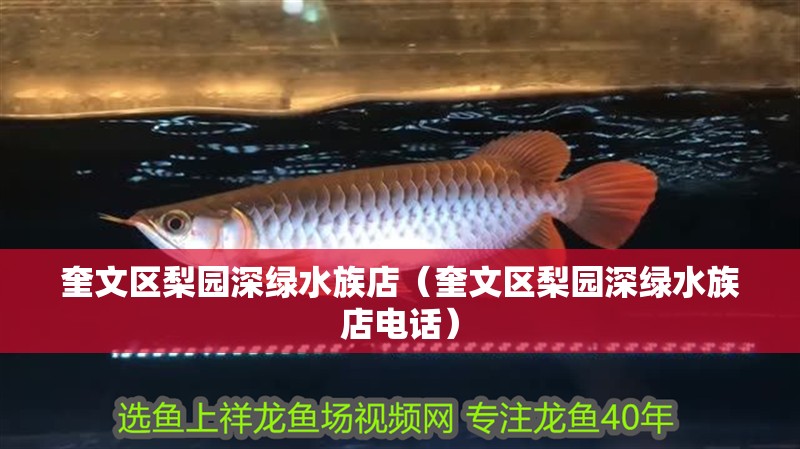 奎文區梨園深綠水族店（奎文區梨園深綠水族店電話）