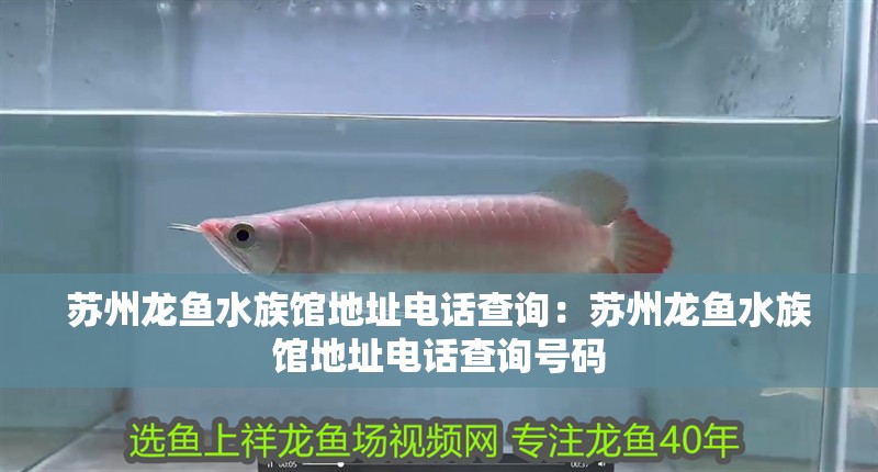 蘇州龍魚(yú)水族館地址電話查詢(xún)：蘇州龍魚(yú)水族館地址電話查詢(xún)號(hào)碼