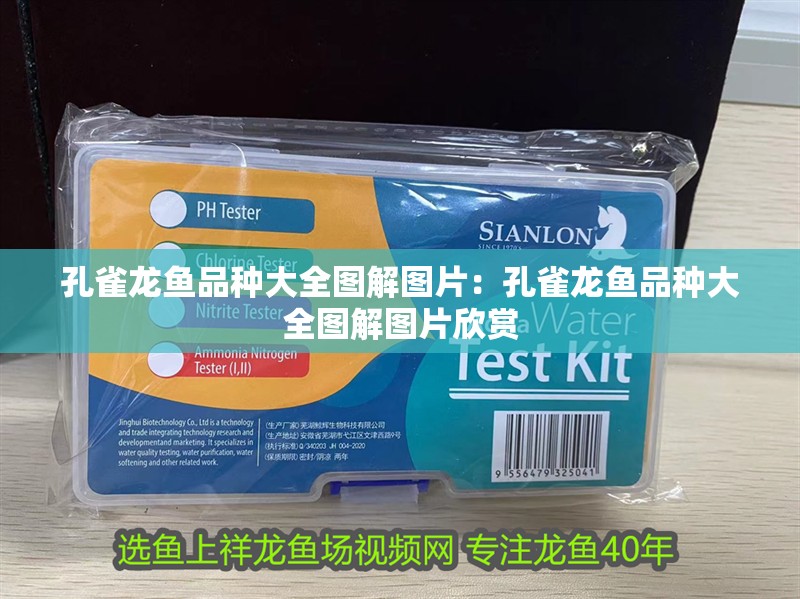孔雀龍魚(yú)品種大全圖解圖片：孔雀龍魚(yú)品種大全圖解圖片欣賞